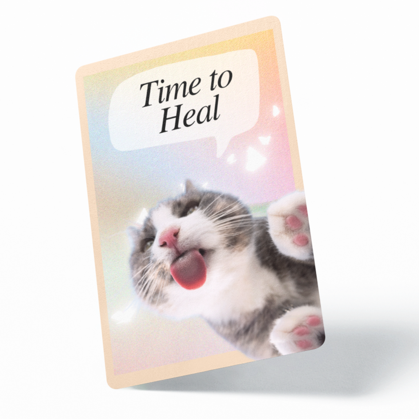 Cats for Comfort