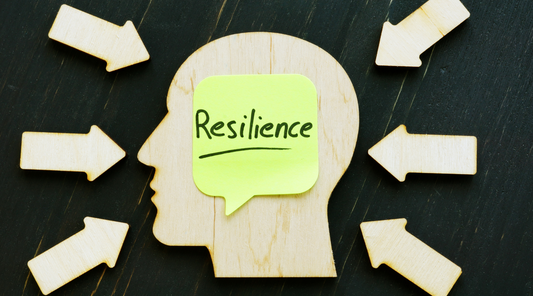 Building Resilience in Students: A School Counselor's Guide