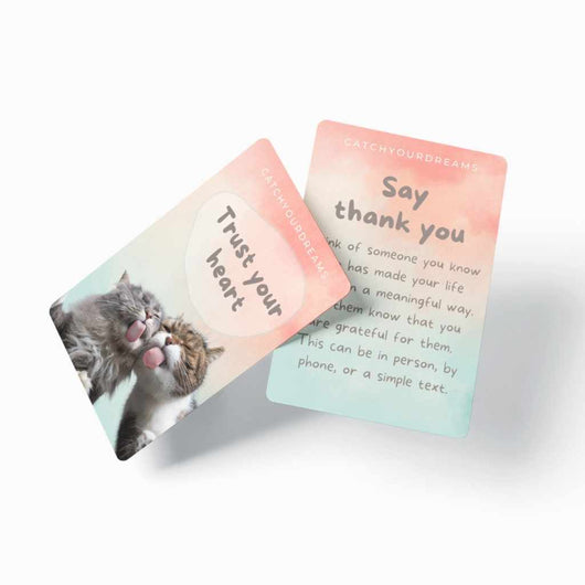 Cats Against Anxiety