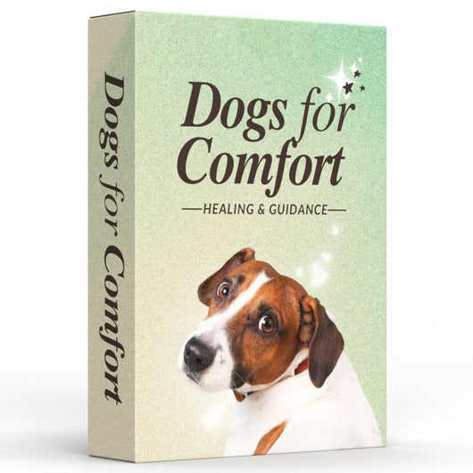 Dogs for Comfort
