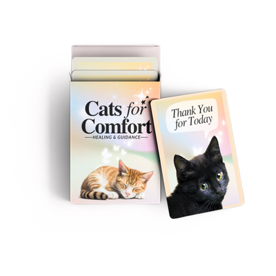 Cats for Comfort