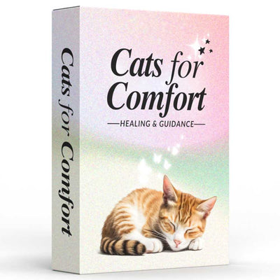 Cats for Comfort