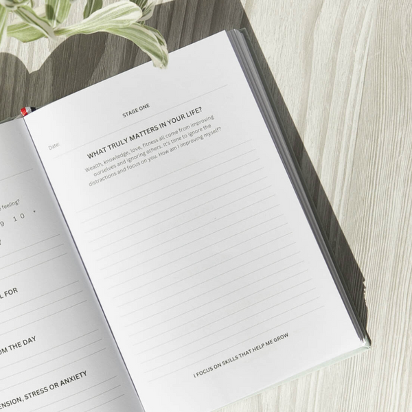 Step 2: Guided Journaling